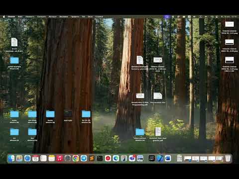 Видео: Алгоритм және бағдарламалау негіздері пәні бойынша СӨЖ-1