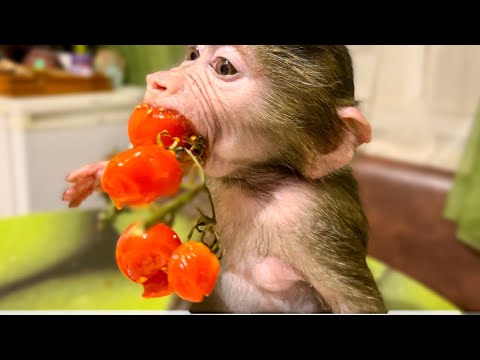 Видео: СМЕХ! Люся меня ВЕСЕЛИТ после трудного дня под СИЗО!