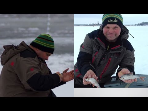 Видео: Арсенал мормышечника глазами Дмитрия Корзенкова.