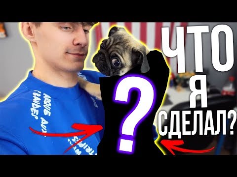 Видео: КУПИЛ ОДЕЖДУ ДЛЯ СЕРЁЖИНОЙ СОБАКИ!