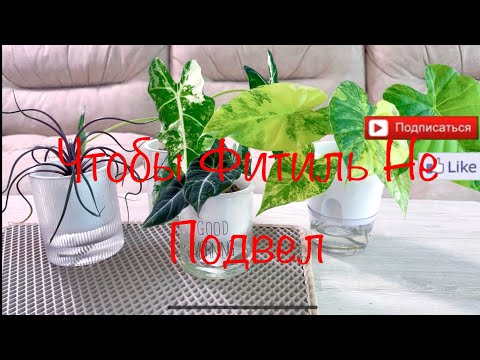 Видео: Чтобы Фитиль не подвел 😉