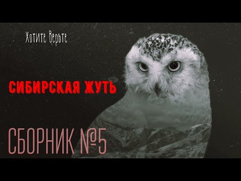 Видео: Сибирская Жуть: СБОРНИК №5. Чит. Леонид Блудилин