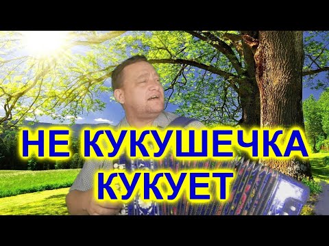 Видео: НЕ КУКУШЕЧКА КУКУЕТ ПОД ГАРМОНЬ!