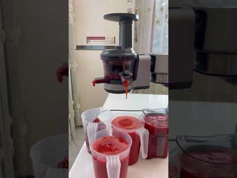 Видео: Кенвуд шнековая соковыжималка , как установить и как пользоваться .Готовим сок и пастилу