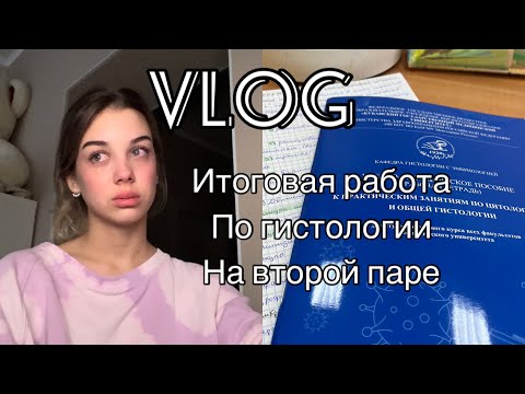 Видео: VLOG ЗА ЧТО Я НЕ ЛЮБЛЮ МЕД | УЧЕБА ВСЮ НОЧЬ????