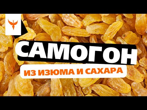 Видео: сДЖ 16: Самогон из изюма 🍇 и сахара. Что это❓ Посредственный сахарный самогон или тяжелая чача 🔨 ❓