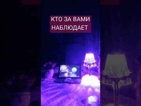 Видео: КТО ЗА ВАМИ НАБЛЮДАЕТ ⁉️❤️