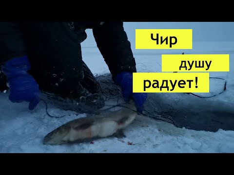 Видео: Ну очень жадное озеро!!!!