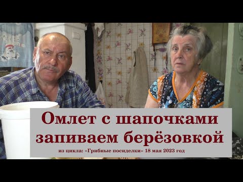 Видео: Омлет с шапочками запиваем берёзовкой. Из цикла:"Грибные посиделки" 18 мая 2023 года.