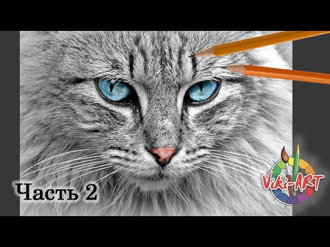 Видео: Рисуем Вместе Кота Карандашом - Онлайн Трансляция 2 - Поэтапное Рисование