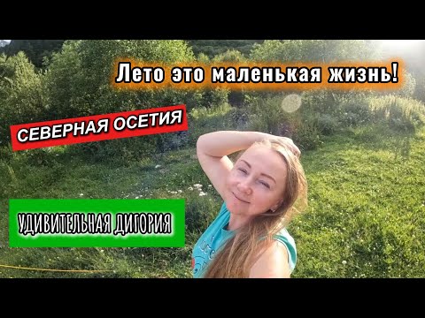 Видео: Часть 5. Водопад БАЙРАДИ. Северная Осетия. Дигорское ущелье.