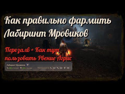 Видео: Black Desert / BD: Как правильно фармить спот Лабиринт Мровиков (Перезалив - Рвение агриса)