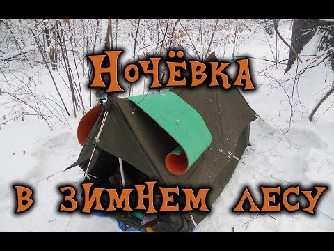 Видео: Ночевка в зимнем лесу