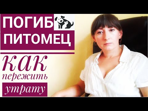 Видео: КАК ПЕРЕЖИТЬ ПОТЕРЮ ПИТОМЦА| СЕКРЕТЫ САМОПОМОЩИ