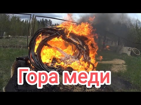 Видео: Медь!!! Один сигнал и я теперь БОГАТЫЙ!!! Огромный медный кабель!!!
