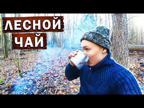 Видео: Заготовка ДРОВ на ЗИМУ / Учу ДРУЖКА командам !