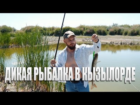 Видео: Дикая Рыбалка в Кызылорде.