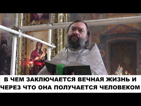 Видео: В чем заключается Вечная Жизнь, и через что она получается человеком? Священник Валерий Сосковец