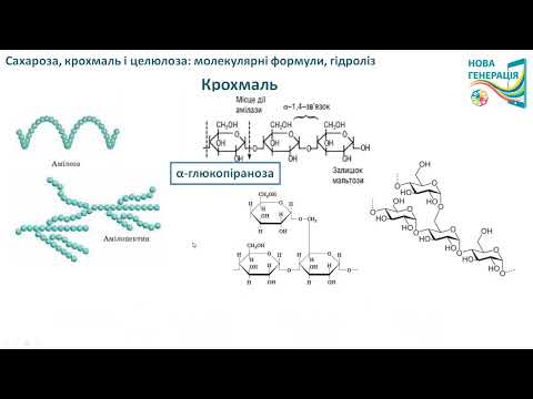 Видео: ВУГЛЕВОДИ: сахароза, крохмаль, целюлоза (будова молекул, гідроліз). ХІМІЯ 10 клас