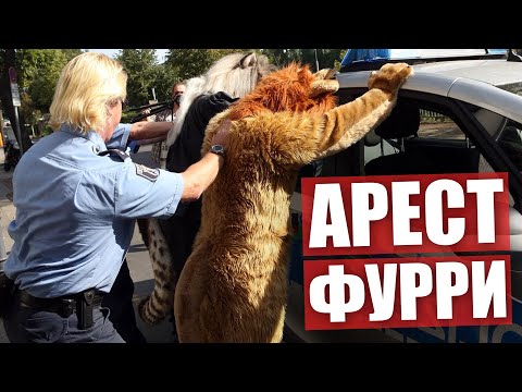 Видео: АРЕСТ и СУД над ФУРРЯМИ ✅ Арестовали пятерых на прогулке