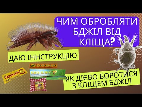 Видео: Як обробляти бджіл від кліща? Що використовувати? Як вбити трахейного кліща? Лікуємо бджіл разом!