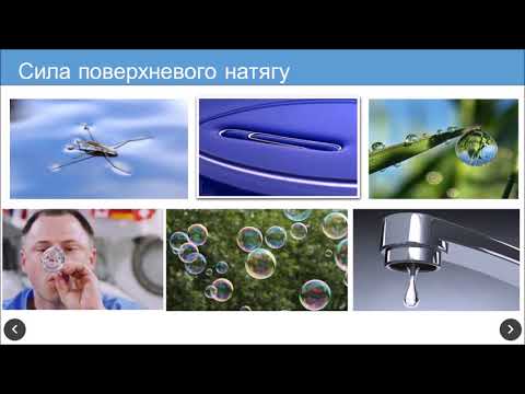 Видео: Фізика 10 клас.  Поверхневий натяг рідини. Змочування. Капілярні явища