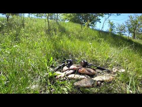 Видео: Рыбалка на донки на карася Открыл сезон летней рыбалки 2024
