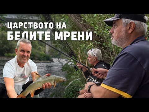 Видео: Карлуково - царството на БЕЛИТЕ МРЕНИ