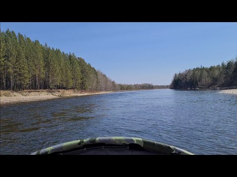 Видео: Открытие речного аэролодочного сезона. Лес,маленькие кабанята, стройка😄