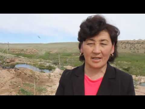 Видео: Жумгал балыгы - Түгөлсай