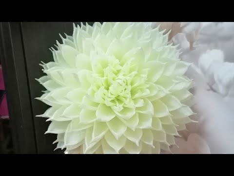 Видео: 2 вариант Хризантемы для дачной беседки.