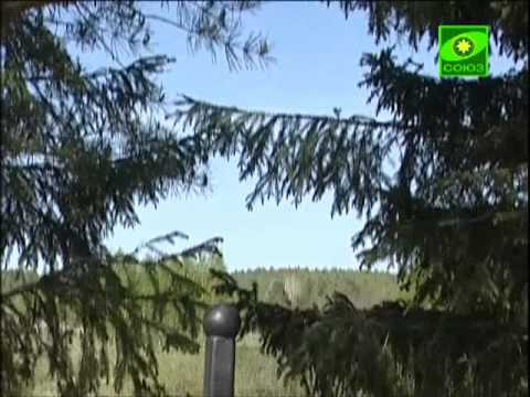 Видео: Собор Екатеринбургских Святых. Симеон Верхотурский