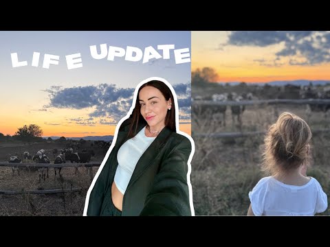 Видео: LIFE UPDATE- ФИНАНСИ, СЕМЕЕН ПСИХОТЕРАПЕВТ, КЪЩАТА