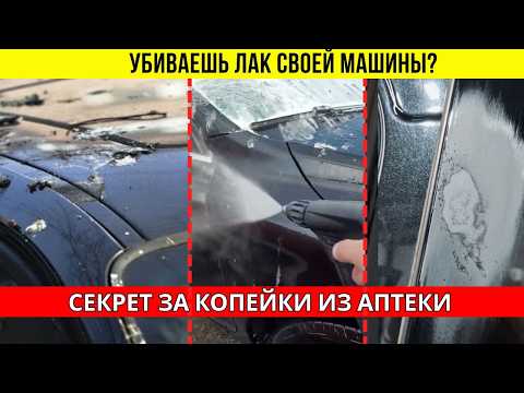 Видео: Как мойка уничтожает лак, секрет из аптеки против птичьего помета, керамика не спасает