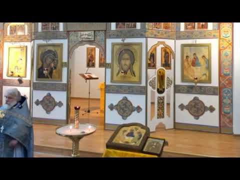 Видео: 06.11.2025. Литургия Иоанна Златоуста. Иконы " Всех скорбящих Радость" (1688г.)