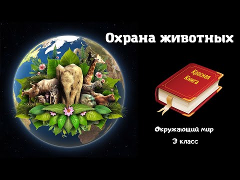 Видео: Охрана животных. Окружающий мир 3 класс