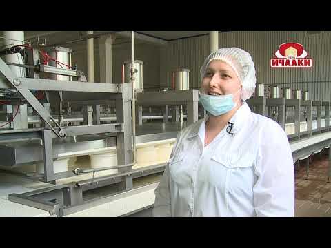 Видео: Сыродельный комбинат Ичалковский