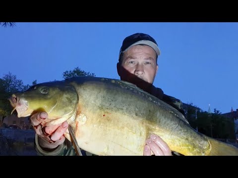 Видео: Поход с семьёй на рыбалку