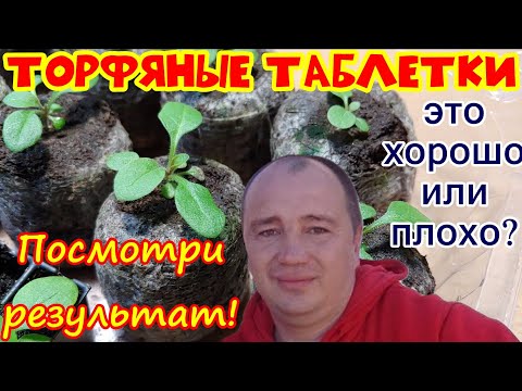 Видео: Торфяные таблетки - добро или зло? Ответ на вопрос