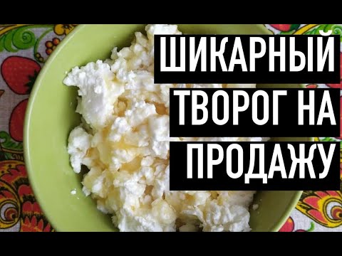 Видео: ШИКАРНЫЙ ТВОРОГ НА ПРОДАЖУ. ПОДРОБНО КАК ДЕЛАТЬ ТВОРОГ? ТВОРОГ ИЗ КОРОВЬЕГО МОЛОКА. БИЗНЕС В ДЕРЕВНЕ