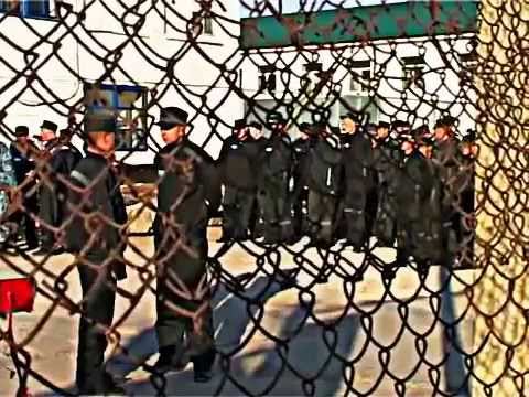 Видео: Будем жить! ИК 10 Краснокаменск