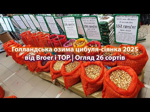 Видео: Голландська озима цибуля-сіянка🧅 2025 від Broer і TOP | Огляд 26 сортів🔥 (Радар, Трой, Центуріон...)