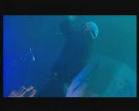 Видео: 7000$ - Кукурузный бисквит Live @ Ramp 2005