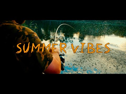 Видео: Карпфишинг ЛЕТНЕЕ ☀️ ПЕКЛО.