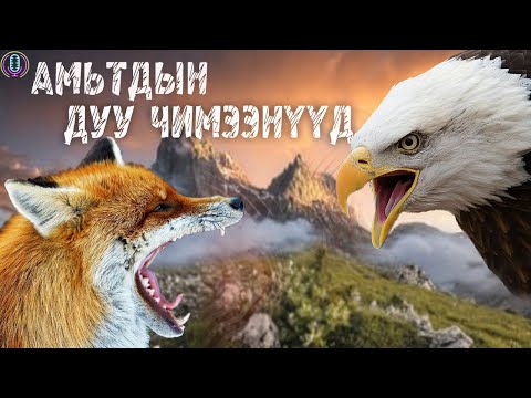 Видео: Амьтадын Бодит Дуу Хоолой