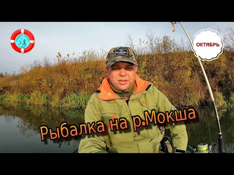 Видео: Рыбалка на р. МОКША/МОРДОВИЯ/Октябрь 2023