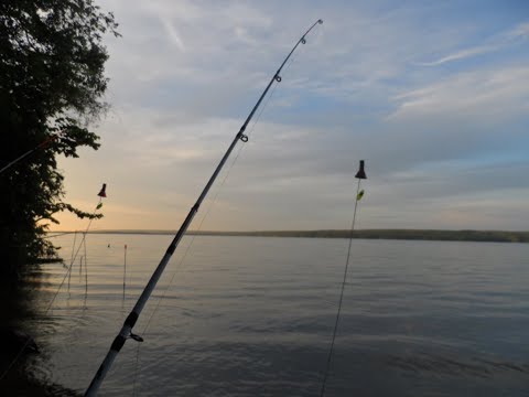 Видео: Рыбалка на Сурском водохранилище. Июнь 2023г