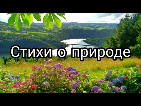 Видео: Стихи о природе детям. Стихи о бережном отношении к природе #стихи#природа