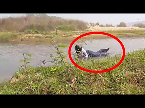 Видео: То Что Они Сняли на Камеру в Реке Шокировало Весь Мир