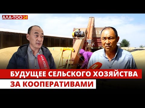 Видео: Будущее сельского хозяйства за кооперативами